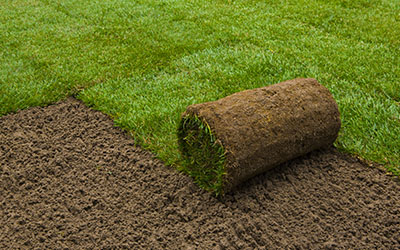 Sod-Installation