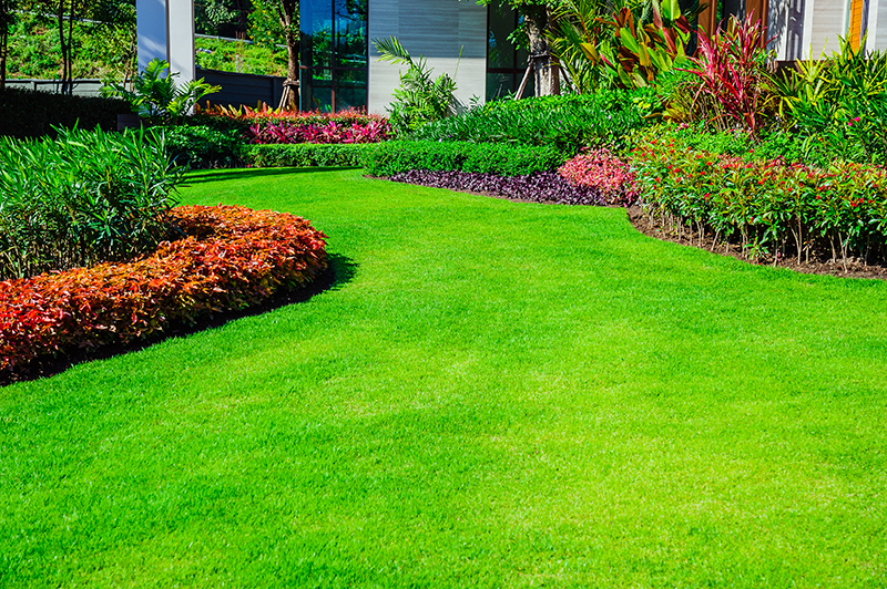 3 Things to Look For in a Landscape Designer